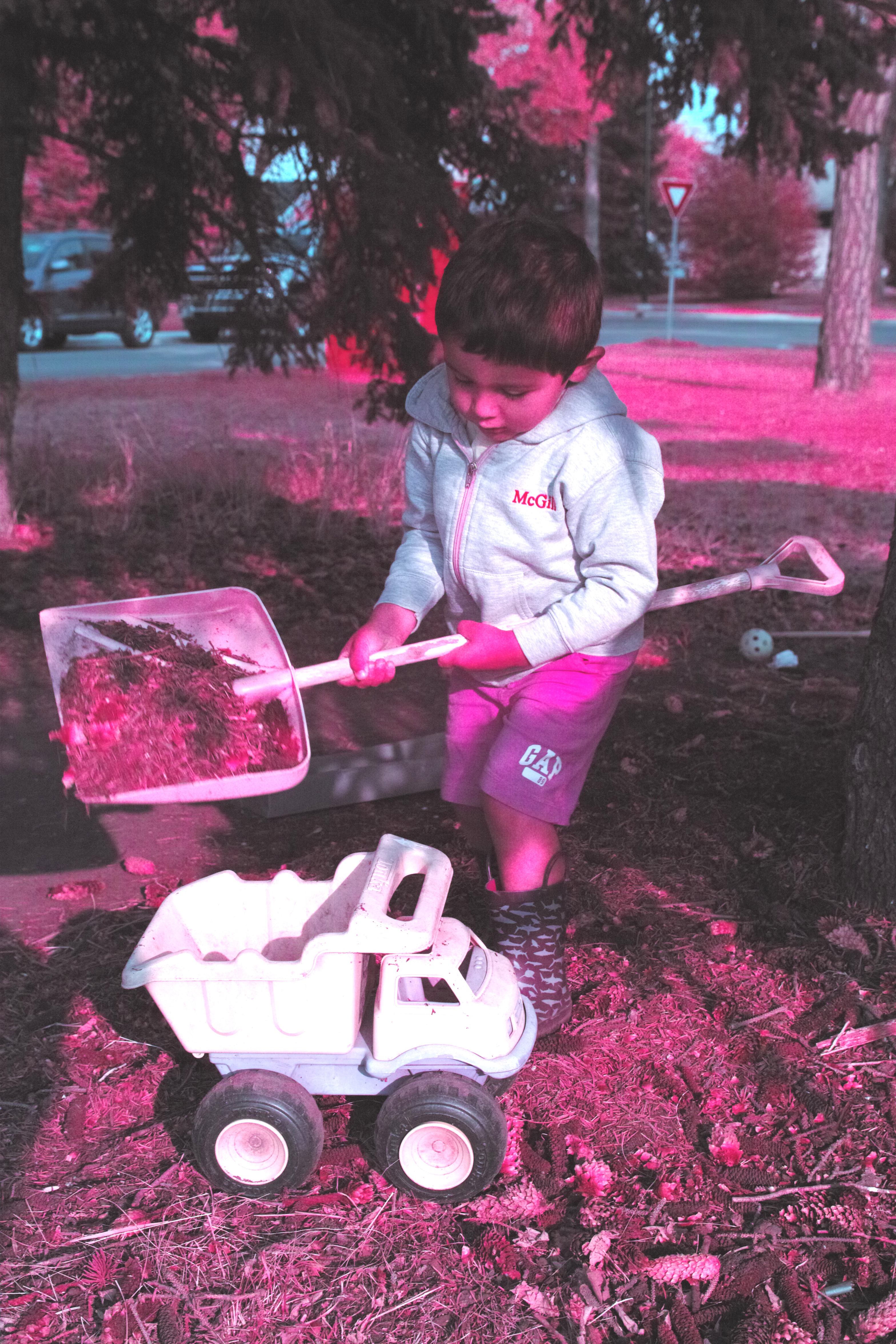Q_Young Explorers Park